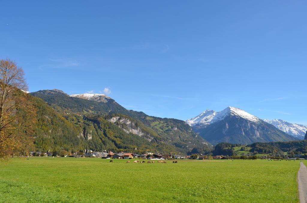 Mountain-Panorama Appartement Meiringen Buitenkant foto