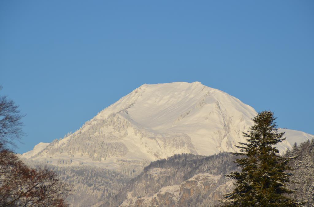 Mountain-Panorama Appartement Meiringen Buitenkant foto