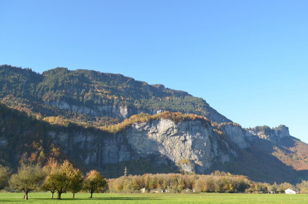Mountain-Panorama Appartement Meiringen Buitenkant foto